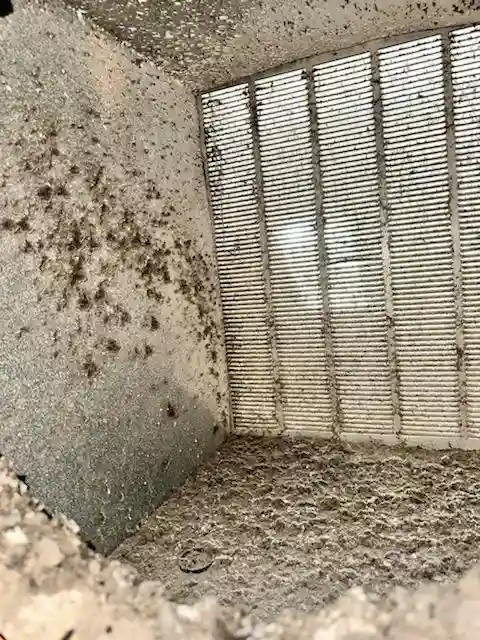See the condition of air ducts before Frank's professional cleaning service. Accumulated dust and debris can impact indoor air quality and HVAC efficiency.